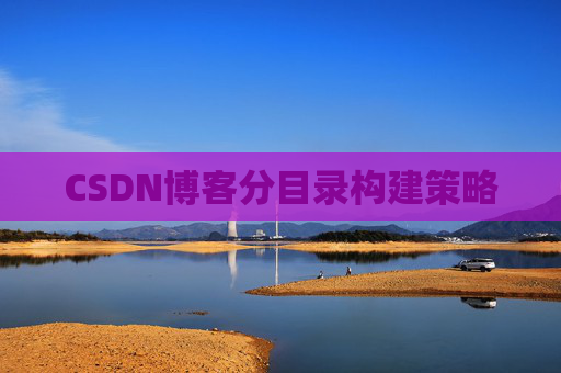 CSDN博客分目录构建策略